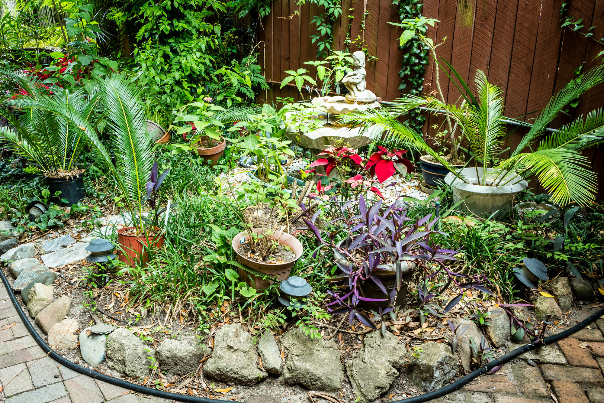 Amethyst Garden Bed & Breakfast Savannah Exterior photo